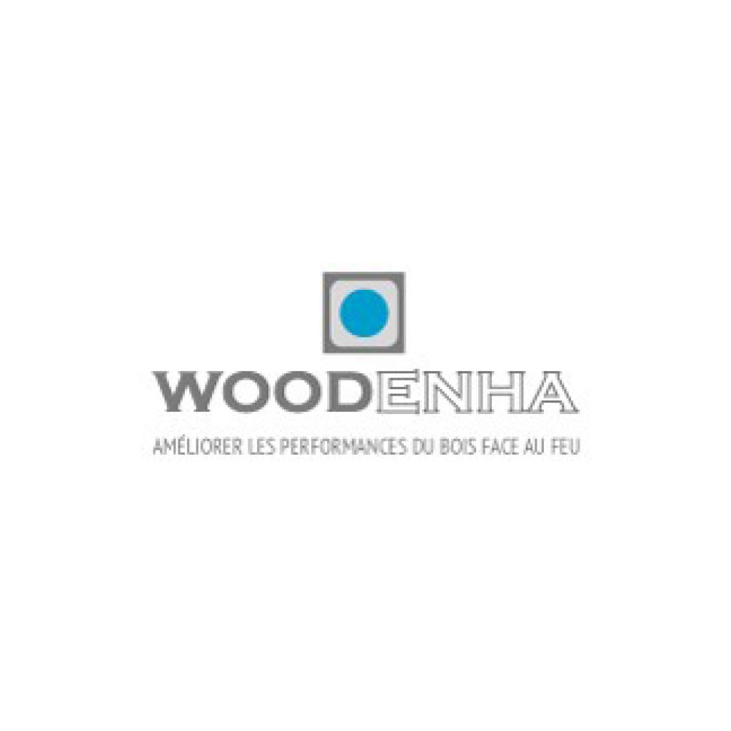 Logo woodenha bois performance